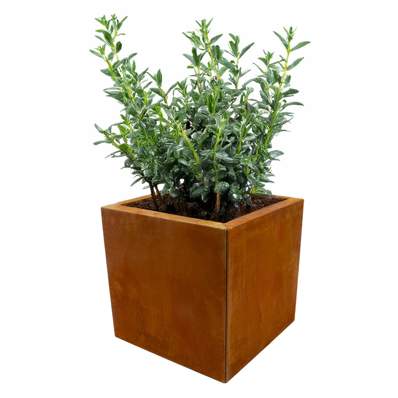 Multi-Edge FLORA